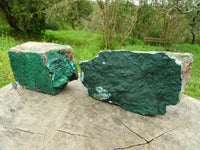 Natural Drusy Crystalline Malachite on Matrix Specimens x 2 From Tenke, Congo - TopRock