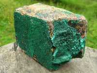 Natural Drusy Crystalline Malachite on Matrix Specimens x 2 From Tenke, Congo - TopRock