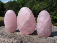 Polished Rose Quartz Gemmy Standing Free Forms x 3 From Ambatondrazaka, Madagascar - TopRock