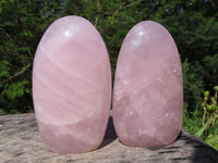 Polished Rose Quartz Gemmy Standing Free Forms x 3 From Ambatondrazaka, Madagascar - TopRock