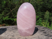 Polished Rose Quartz Gemmy Standing Free Forms x 3 From Ambatondrazaka, Madagascar - TopRock