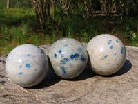 Polished Blue Spotted Spinel Spheres x 3 From Madagascar - TopRock