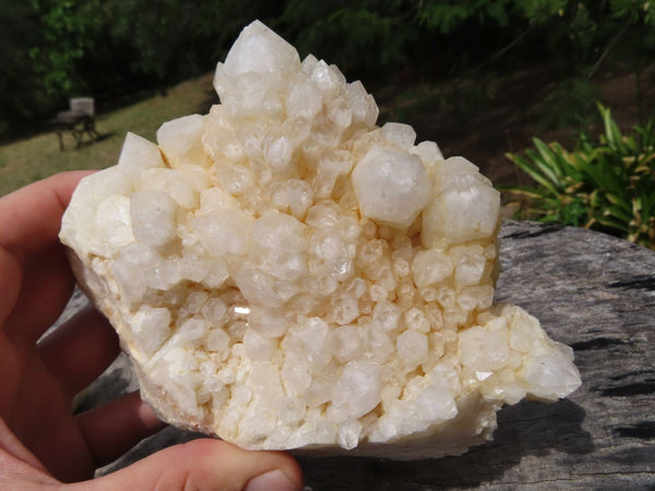 Natural White Phantom Quartz Cluster Specimens x 2 From Madagascar - TopRock