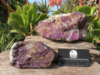 Natural Purpurite Rough Specimens x 2 From Namibia - TopRock