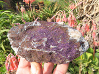 Natural Purpurite Rough Specimens x 2 From Namibia - TopRock