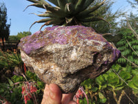 Natural Purpurite Rough Specimens x 2 From Namibia - TopRock