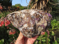 Natural Purpurite Rough Specimens x 2 From Namibia - TopRock