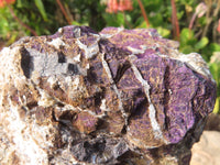 Natural Purpurite Rough Specimens x 2 From Namibia - TopRock