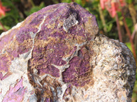 Natural Purpurite Rough Specimens x 2 From Namibia - TopRock