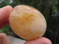 Polished Coral Flower Agate Gallets x 24 From Madagascar - TopRock