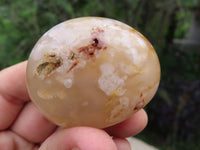 Polished Coral Flower Agate Gallets x 24 From Madagascar - TopRock