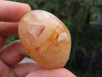 Polished Coral Flower Agate Gallets x 24 From Madagascar - TopRock