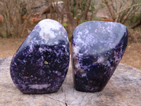 Polished Lepidolite Standing Free Forms x 2 From Zimbabwe - TopRock