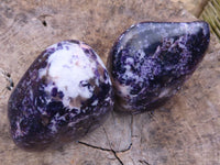 Polished Lepidolite Standing Free Forms x 2 From Zimbabwe - TopRock