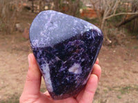 Polished Lepidolite Standing Free Forms x 2 From Zimbabwe - TopRock