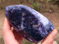 Polished Lepidolite Standing Free Forms x 2 From Zimbabwe - TopRock