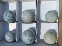 Polished Blue Spotted Spinel Spheres x 6 From Madagascar - TopRock