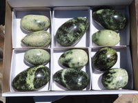 Polished Serpentine Leopard Stone Free Forms x 11 From Nyanga, Zimbabwe - TopRock