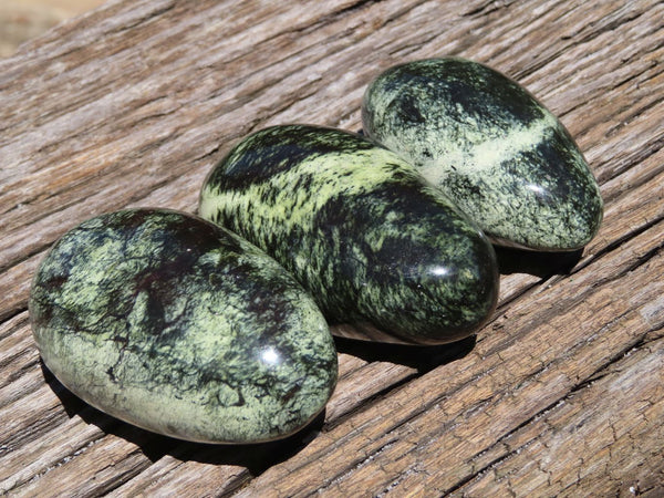 Polished Serpentine Leopard Stone Free Forms x 11 From Nyanga, Zimbabwe - TopRock