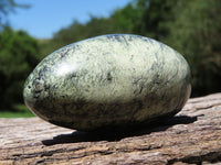 Polished Serpentine Leopard Stone Free Forms x 11 From Nyanga, Zimbabwe - TopRock