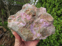 Natural Rare XXL Stichtite & Green Serpentine Specimens x 2 From Barberton, South Africa - TopRock