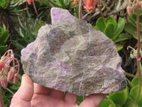 Natural Rare XXL Stichtite & Green Serpentine Specimens x 2 From Barberton, South Africa - TopRock