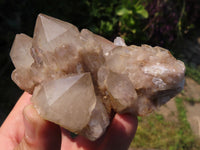 Natural Smokey Phantom Quartz Clusters x 4 From Lwena, Congo - TopRock