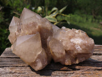 Natural Smokey Phantom Quartz Clusters x 4 From Lwena, Congo - TopRock