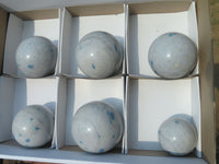 Polished Blue Spotted Spinel Spheres x 6 From Madagascar - TopRock