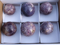 Polished Lepidolite Spheres x 2 With Rubellite x 6 From Madagascar - TopRock