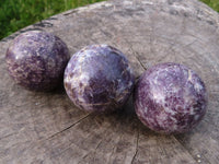 Polished Lepidolite Spheres x 2 With Rubellite x 6 From Madagascar - TopRock