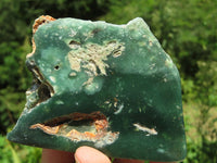 Polished Mtorolite Emerald Chrome Chrysoprase Plates x 6 From Mutorashanga, Zimbabwe - TopRock