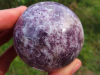 Polished Lepidolite Spheres x 2 With Rubellite x 6 From Madagascar - TopRock