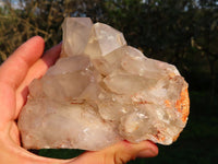 Natural Hematoid Quartz Clusters x 3 From Zimbabwe - TopRock