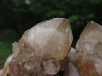 Natural Smokey Phantom Quartz Cluster x 1 From Lwena, Congo - TopRock