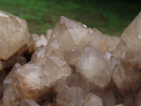 Natural Smokey Phantom Quartz Cluster x 1 From Lwena, Congo - TopRock