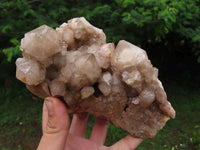 Natural Smokey Phantom Quartz Cluster x 1 From Lwena, Congo - TopRock