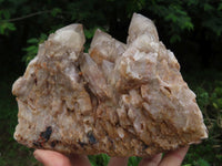 Natural Smokey Phantom Quartz Cluster x 1 From Lwena, Congo - TopRock