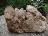 Natural Smokey Phantom Quartz Cluster x 1 From Lwena, Congo - TopRock