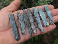 Natural Blue Kyanite Crystals (Aluminium Silicate) - sold per 1 kg - from Karoi, Zimbabwe - TopRock