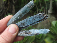 Natural Blue Kyanite Crystals (Aluminium Silicate) - sold per 1 kg - from Karoi, Zimbabwe - TopRock