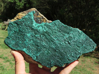Natural Large Drusy Malachite Specimens x 2 From Congo - TopRock