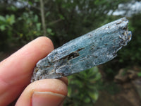 Natural Blue Kyanite Crystals (Aluminium Silicate) - sold per 1 kg - from Karoi, Zimbabwe - TopRock