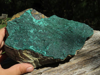 Natural Large Drusy Malachite Specimens x 2 From Congo - TopRock