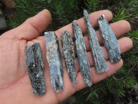 Natural Blue Kyanite Crystals (Aluminium Silicate) - sold per 1 kg - from Karoi, Zimbabwe - TopRock