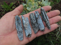 Natural Blue Kyanite Crystals (Aluminium Silicate) - sold per 1 kg - from Karoi, Zimbabwe - TopRock