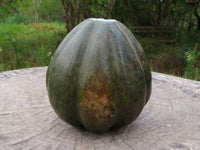 Polished Verdite Pumpkin Carving x 1 From Zimbabwe - TopRock