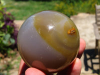 Polished Agate Spheres x 2 From Madagascar - TopRock