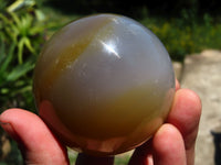 Polished Agate Spheres x 2 From Madagascar - TopRock