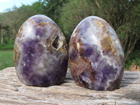 Polished Flower Dream Amethyst Standing Free Forms x 2 From Madagascar - TopRock